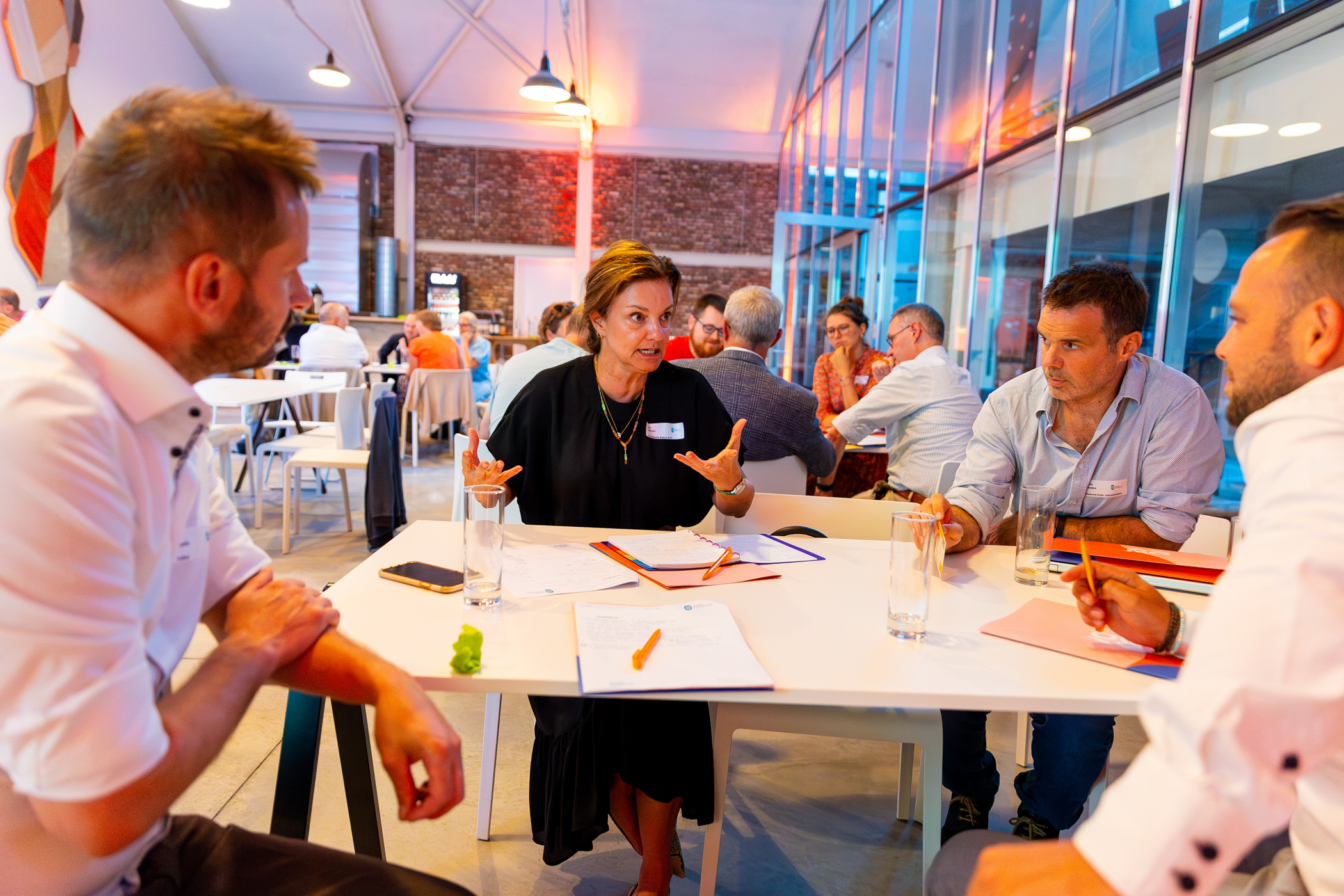 53202917996_05f8ce07b1_o