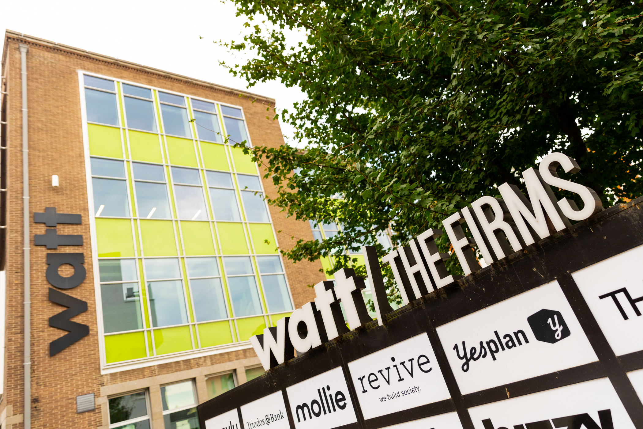 53203252160_20fca906c5_o